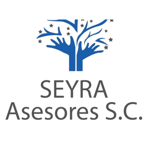 seyra asesores